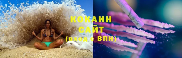 трава Лабытнанги