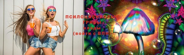 мяу мяу мука Ладушкин