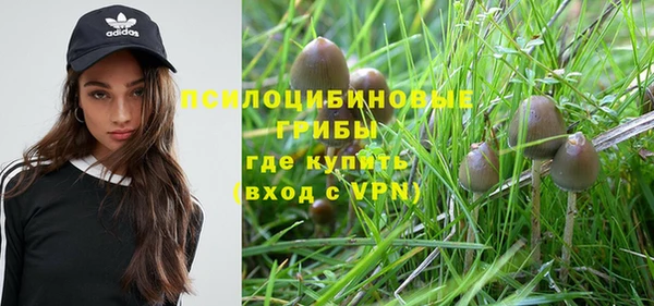 мяу мяу мука Ладушкин