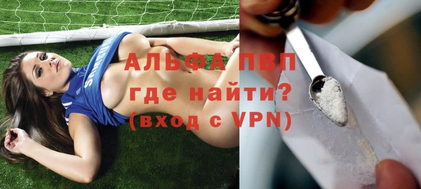 трава Лабытнанги