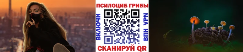 Галлюциногенные грибы Psilocybine cubensis Белоусово